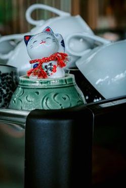 primary 8Day